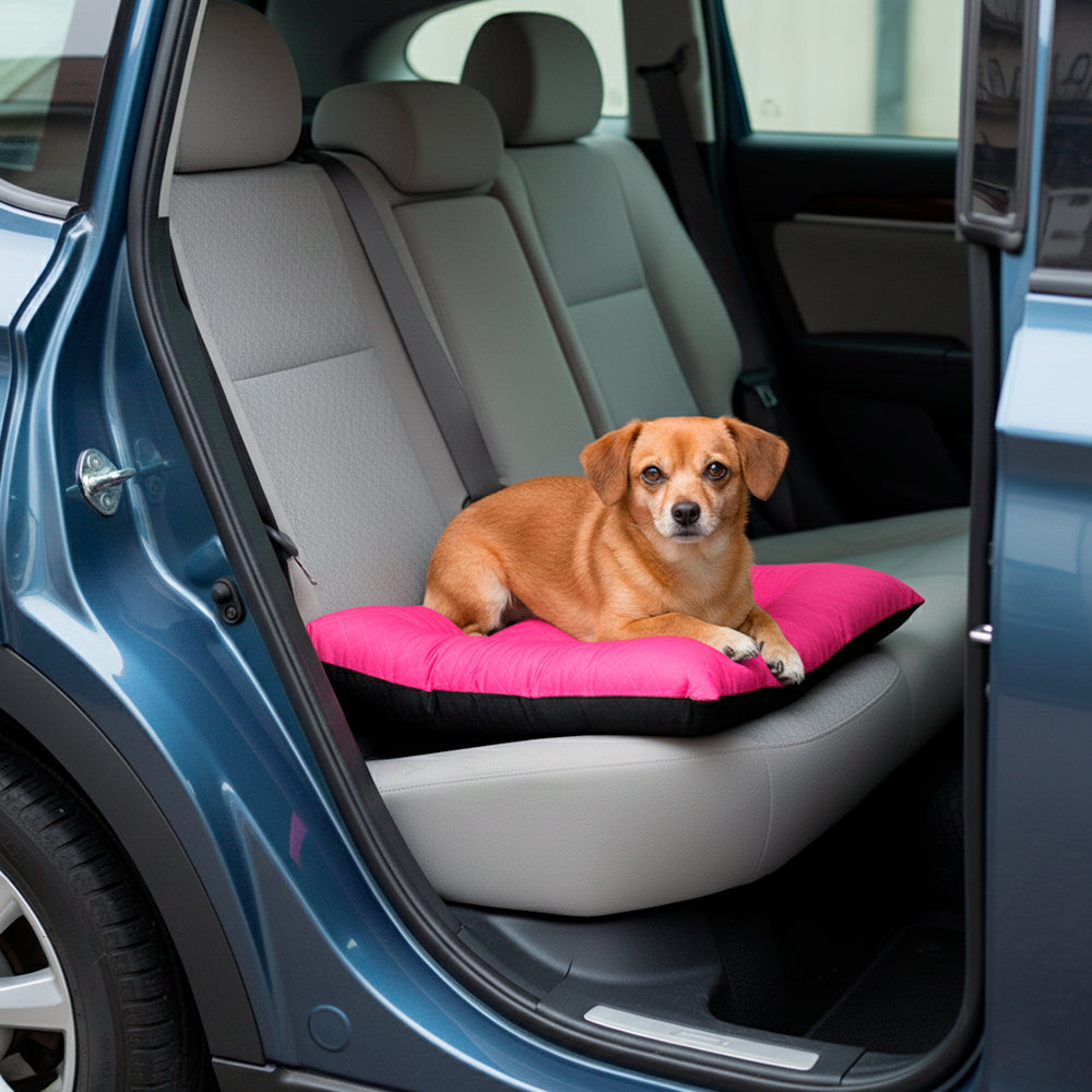 Colchonete Pet Toddy Impermeável Pequeno
