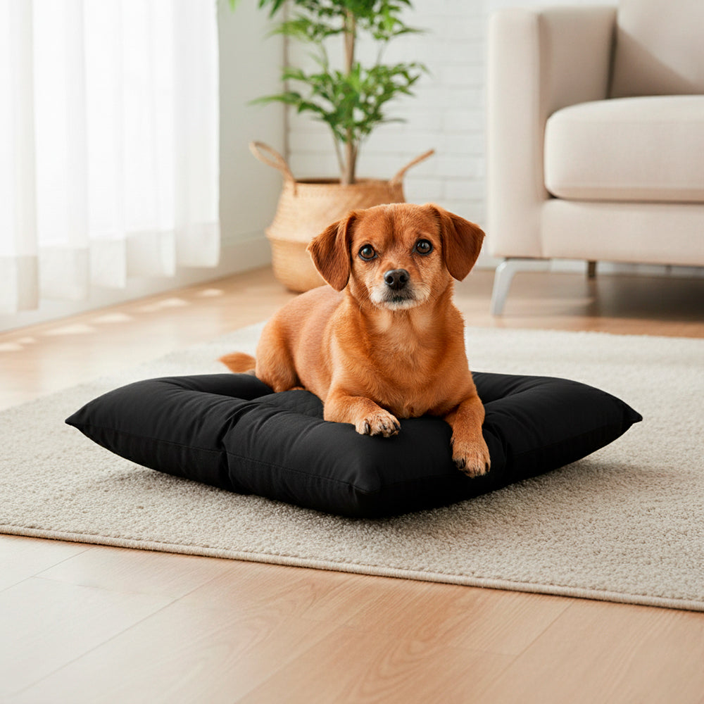 Colchonete Pet Toddy Impermeável Pequeno