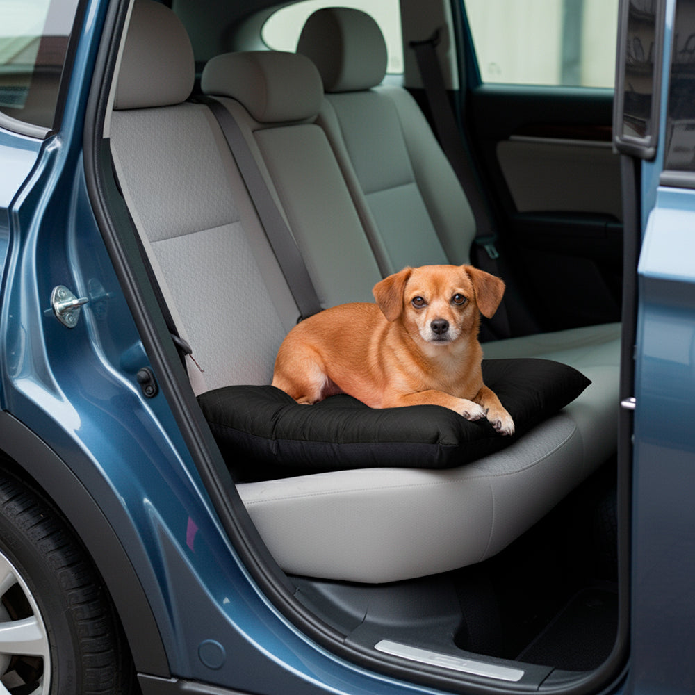 Colchonete Pet Toddy Impermeável Pequeno
