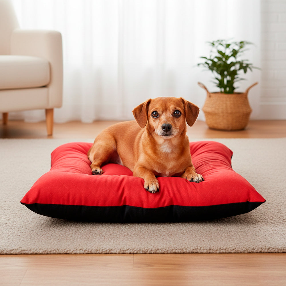 Colchonete Pet Toddy Impermeável Pequeno