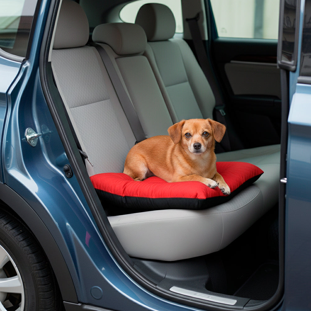 Colchonete Pet Toddy Impermeável Pequeno