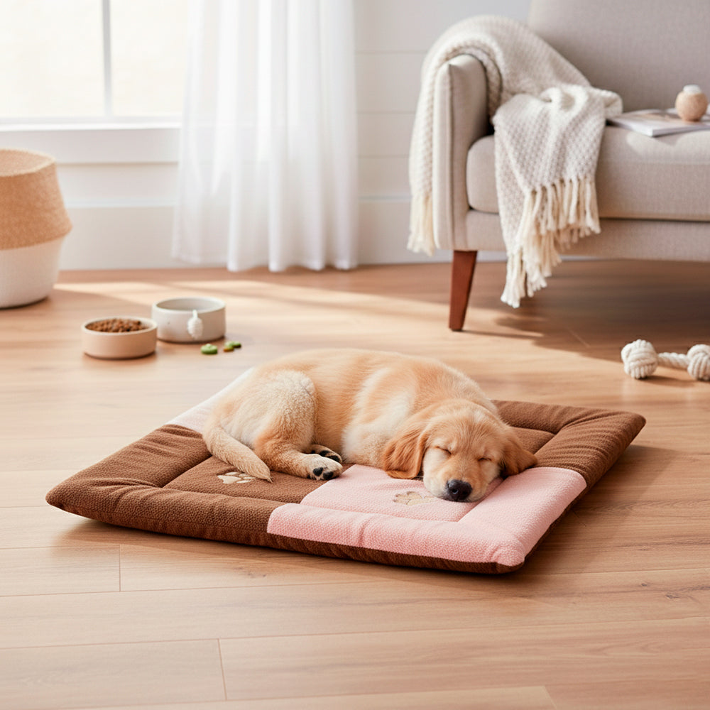 Tapete Pet Soft Médio