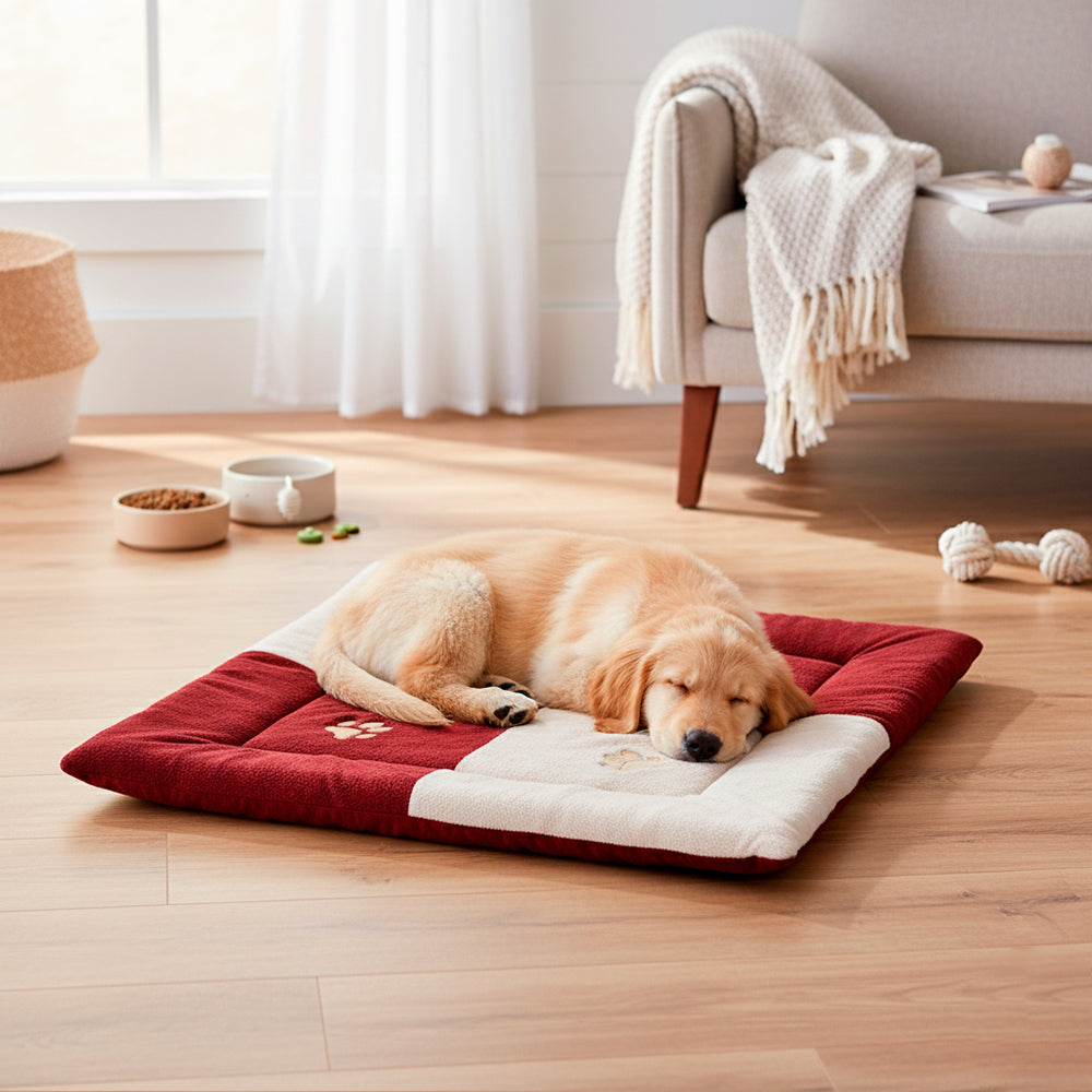 Tapete Pet Soft Pequeno