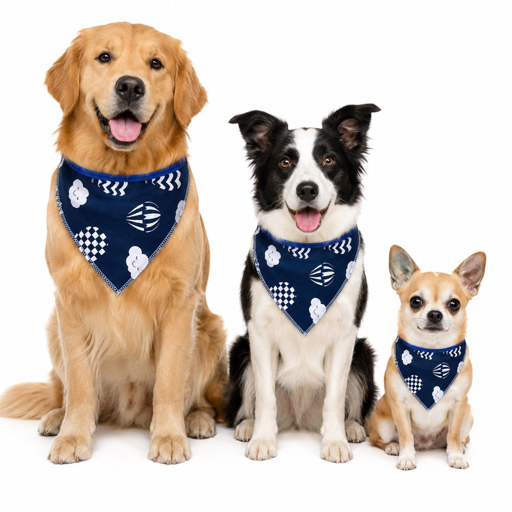 Bandana Pet Dereck G