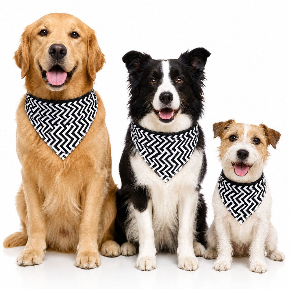 Bandana Pet Dereck M