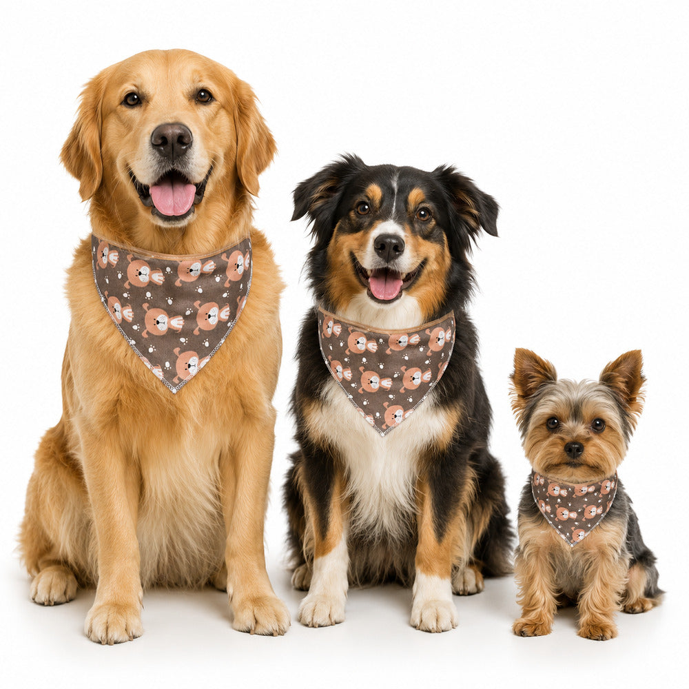 Bandana Pet Dereck M