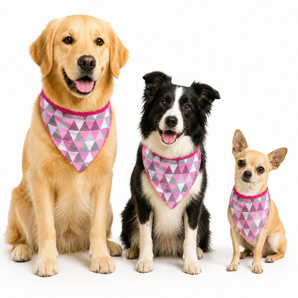 Bandana Pet Dereck M