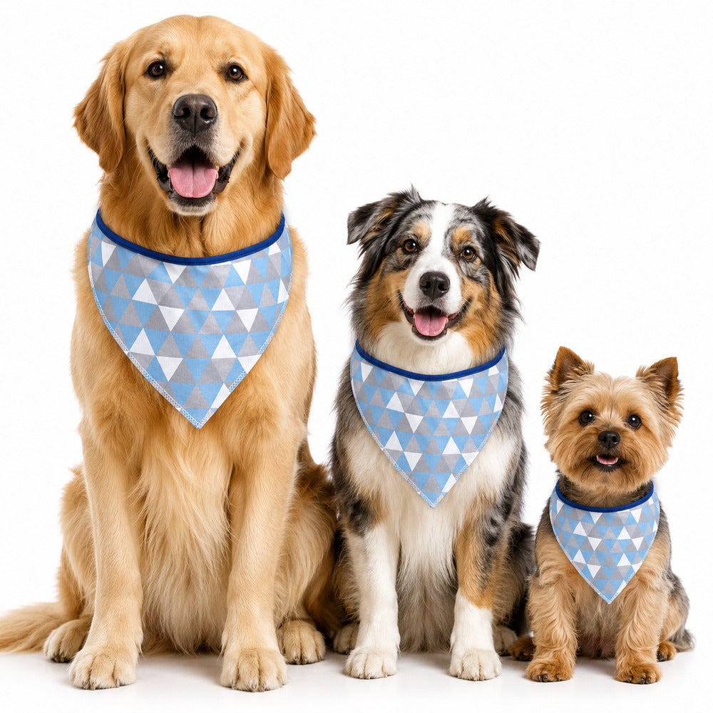 Bandana Pet Dereck M