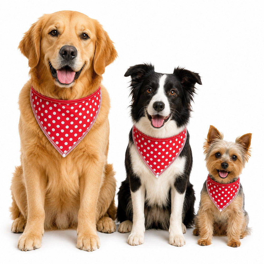 Bandana Pet Dereck P