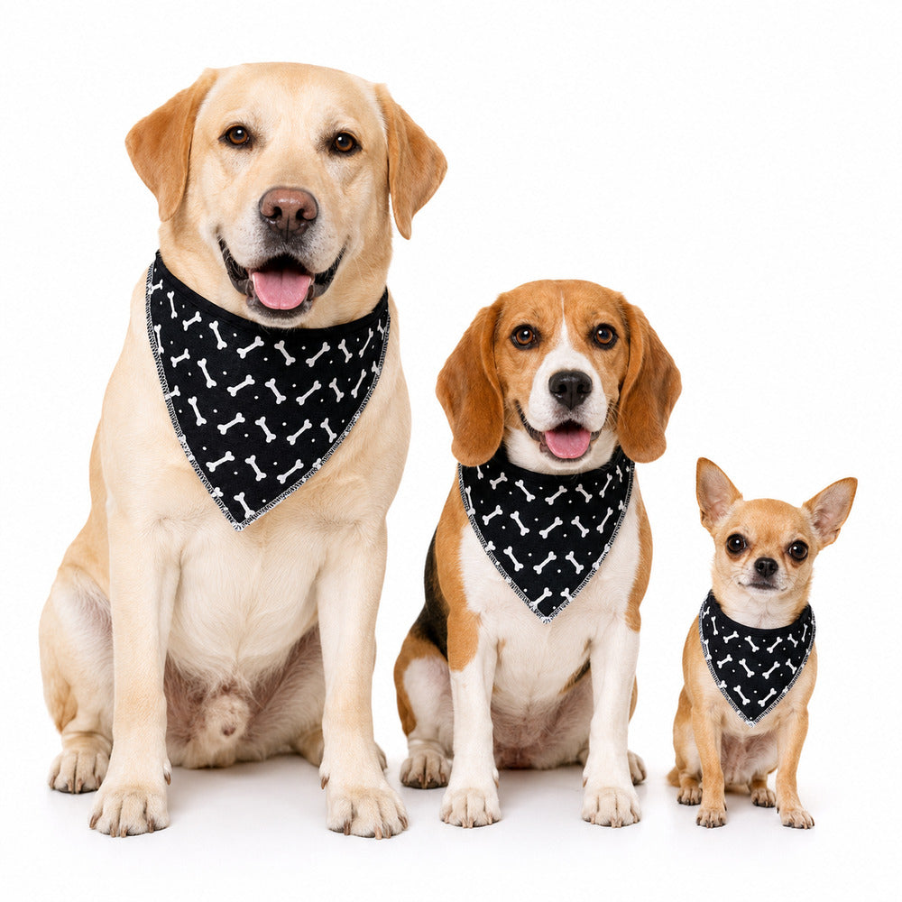 Bandana Pet Dereck G