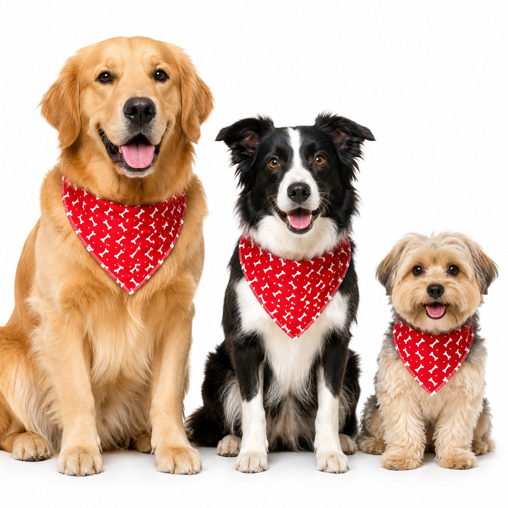 Bandana Pet Dereck M