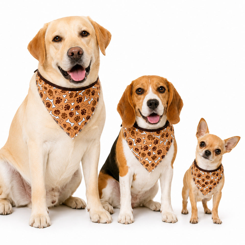 Bandana Pet Dereck M