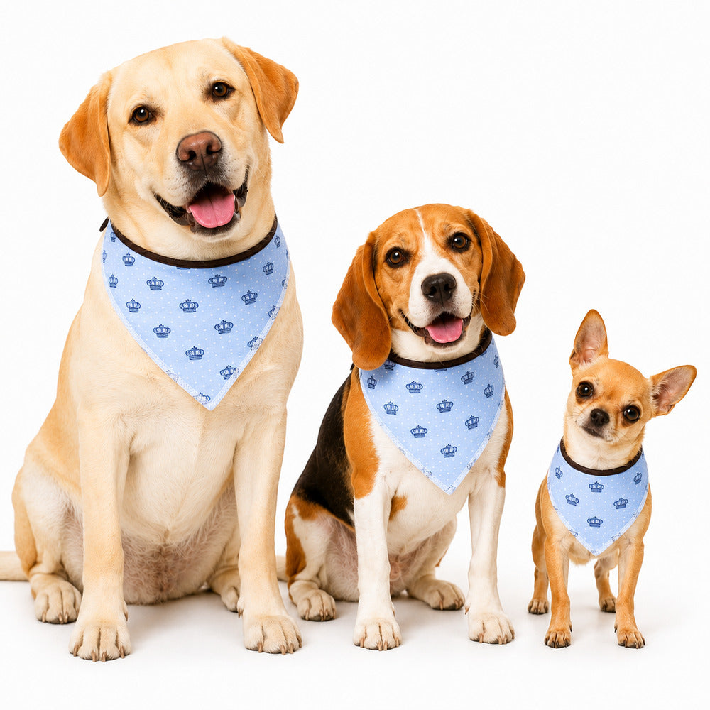 Bandana Pet Dereck P