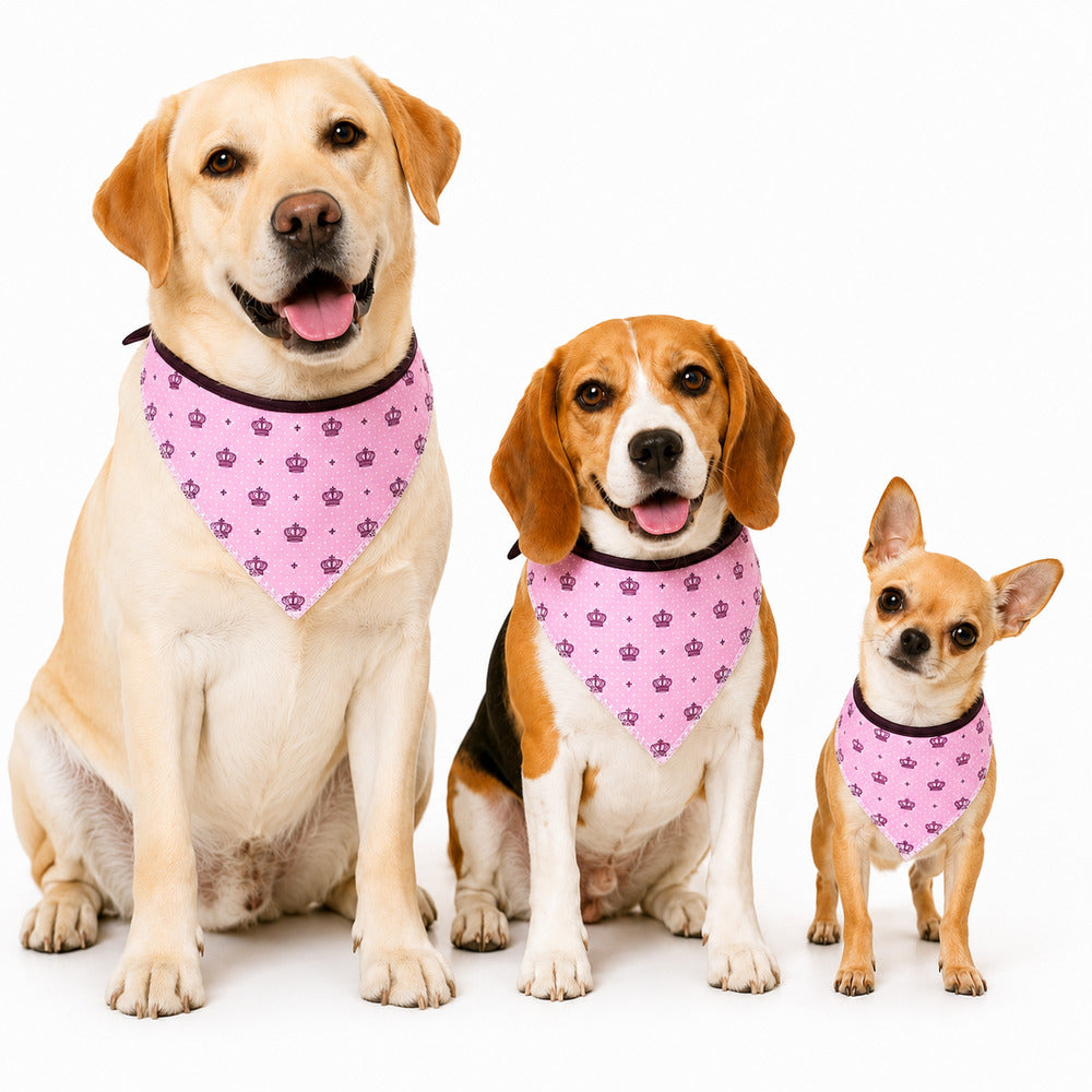 Bandana Pet Dereck M