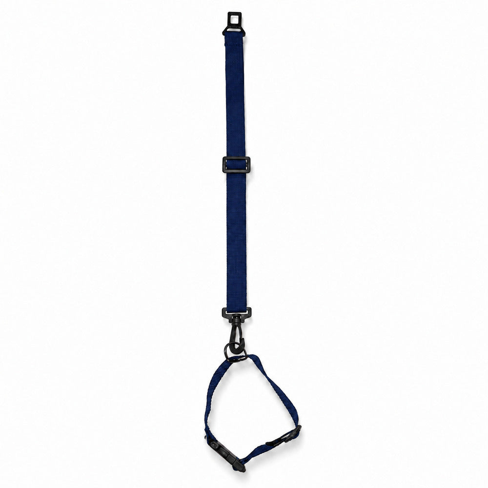 Conjunto Cinto de Segurança + Coleira Pet Simples