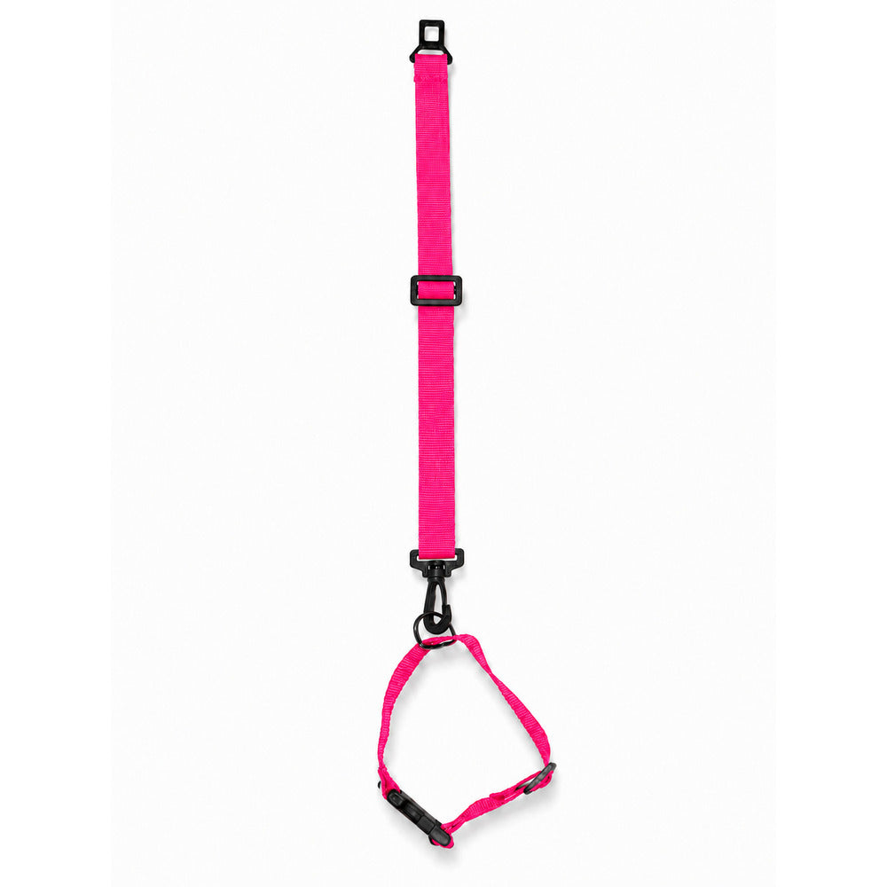 Conjunto Cinto de Segurança + Coleira Pet Simples