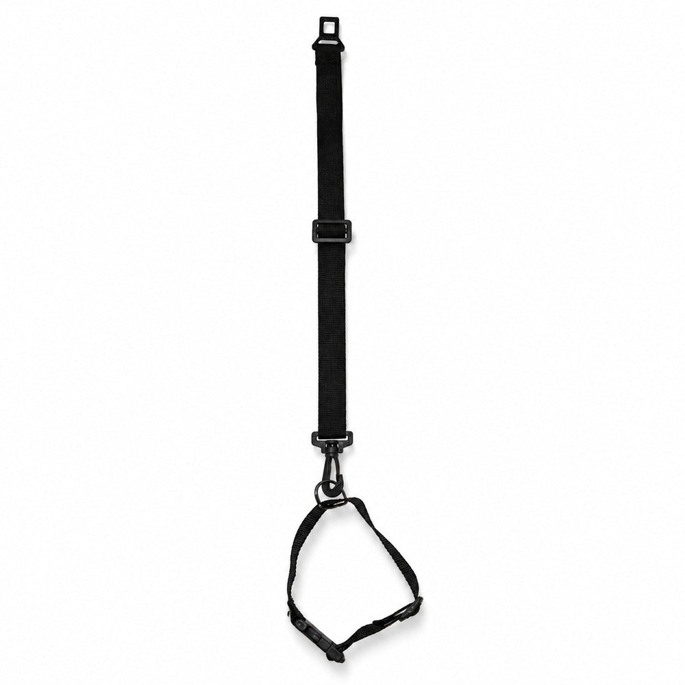 Conjunto Cinto de Segurança + Coleira Pet Simples